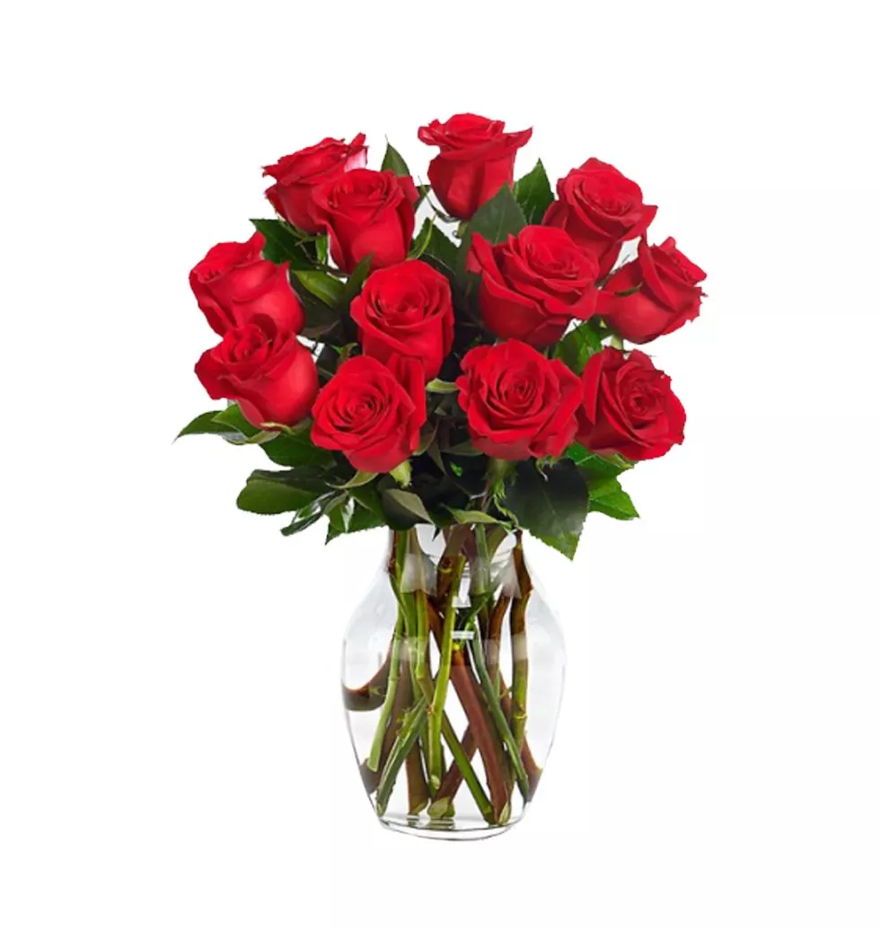 12 Red Roses in a Vase