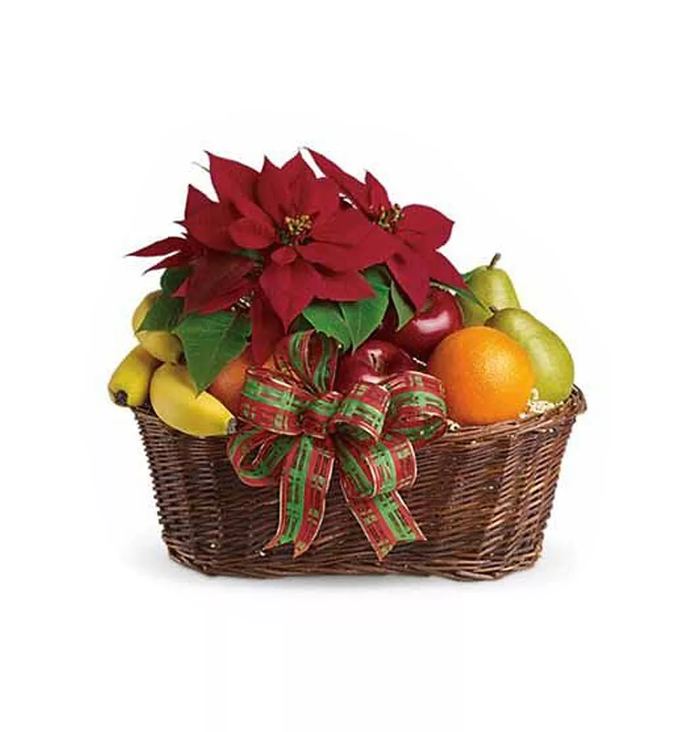 Adorable Assorted Fruits with Poinsettia Plant